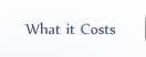 What it costs
