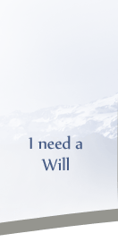 I need a Will